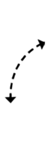 100x300 png elements /20.png 100x300 png elements /20.png